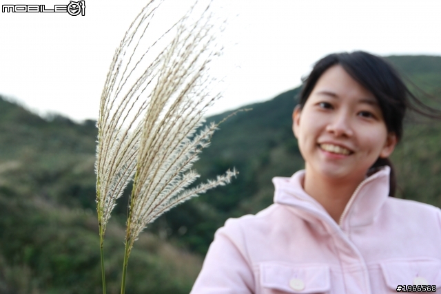 芒花拾穗~草嶺古道芒花季