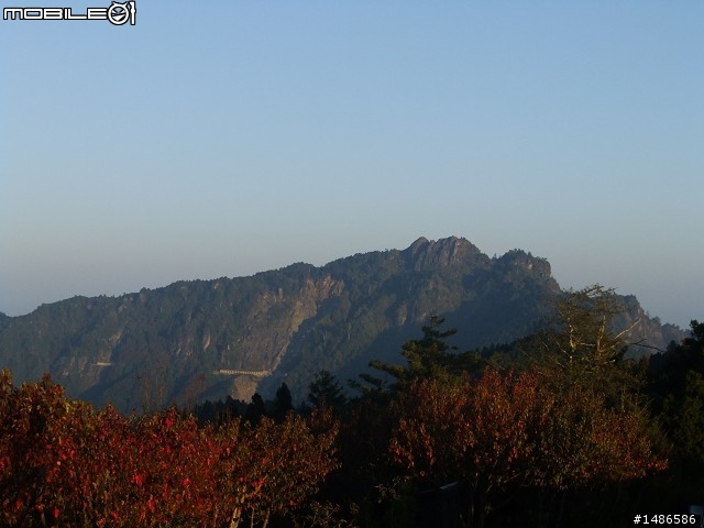 阿里山