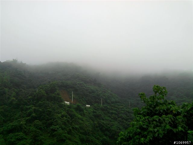 2011雲霧中的泰武單車遊