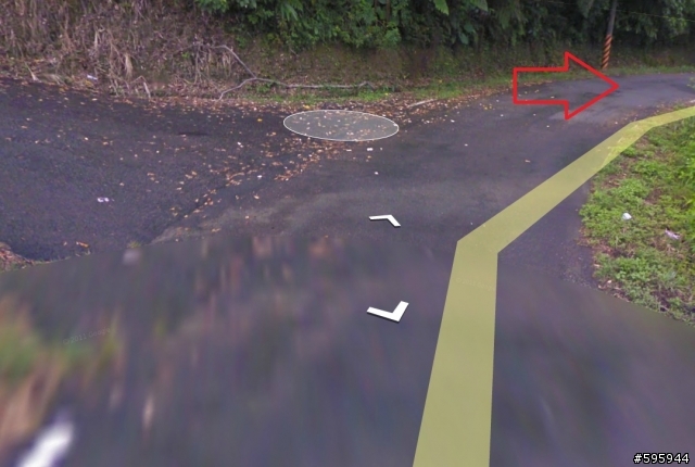 先用Google Map街景探勘陽金超馬路線叉路路標位置
