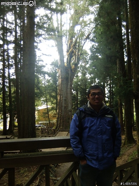 阿里山