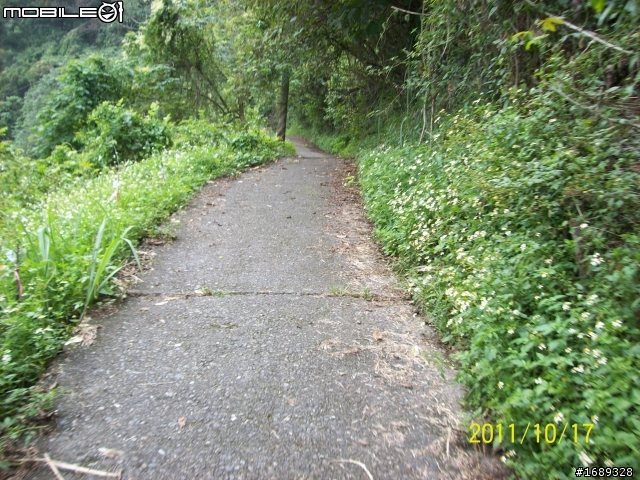 拖稿許久終於完結!!被遺忘的橫「斷」公路--台16線水里~合流坪,探勘之旅〔加碼探訪雙龍瀑布〕