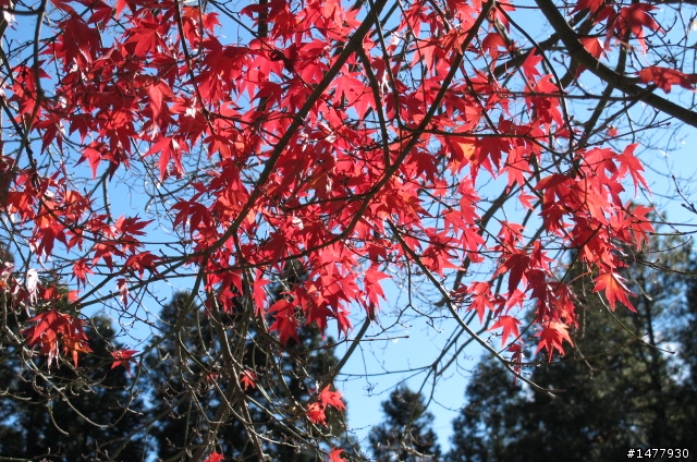 1203單騎雙北福壽山一日遊