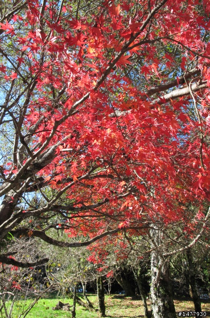 1203單騎雙北福壽山一日遊
