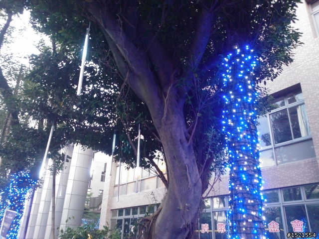 【分享】Nokia Lumia 800 與我的一天