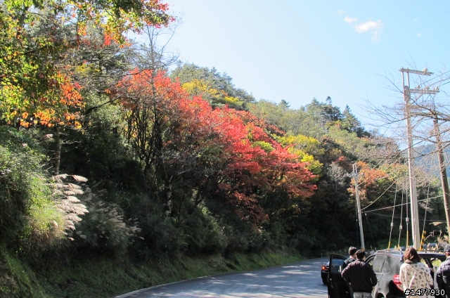 1203單騎雙北福壽山一日遊