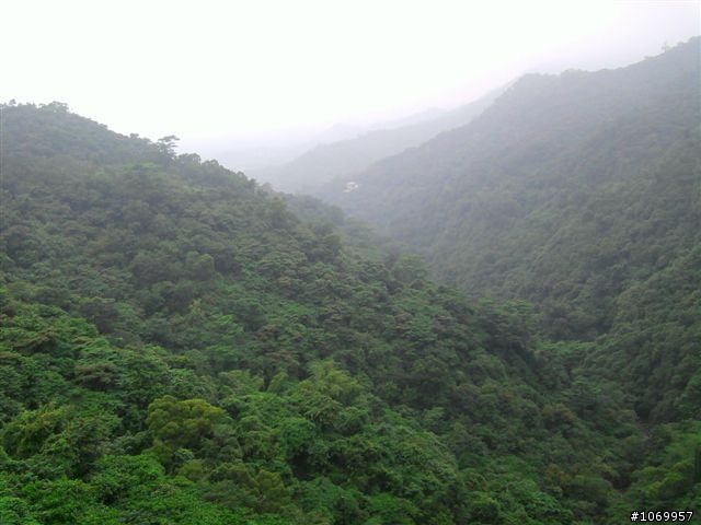 2011雲霧中的泰武單車遊