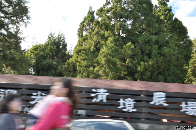 小佛之40小時受凍之~~半島追楓~~(圖多)