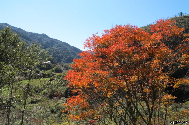 1203單騎雙北福壽山一日遊