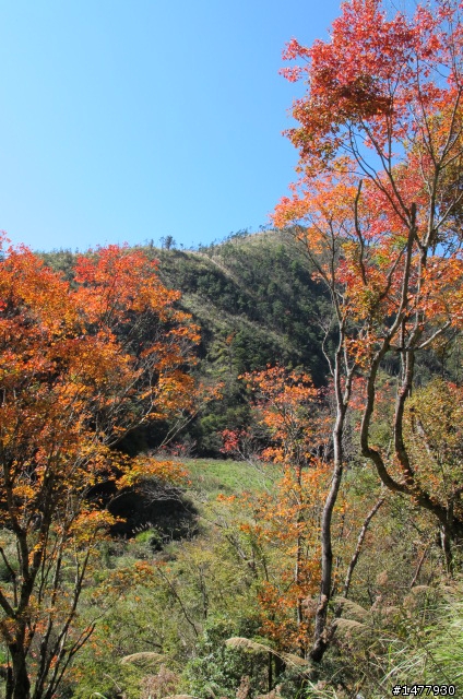 1203單騎雙北福壽山一日遊