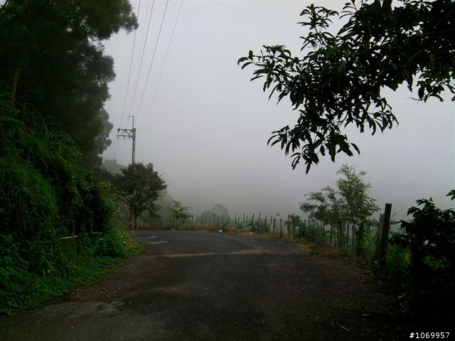 2011雲霧中的泰武單車遊
