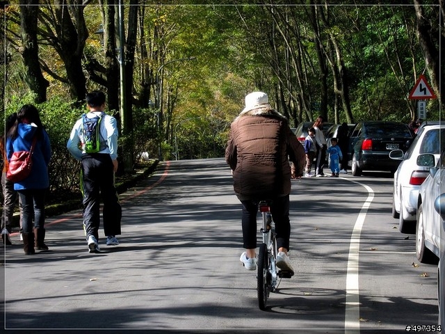 2011年 石門水庫、楓葉、晴