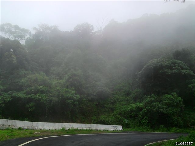 2011雲霧中的泰武單車遊