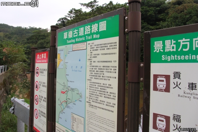 芒花拾穗~草嶺古道芒花季