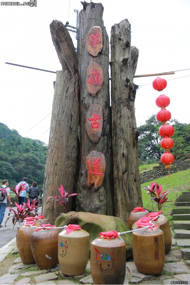 芒花拾穗~草嶺古道芒花季