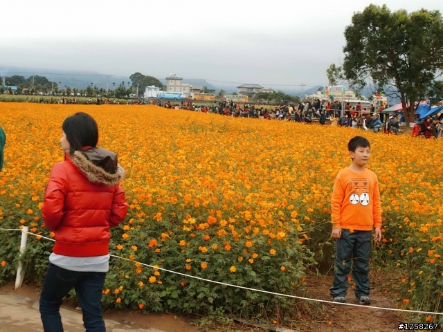 為何一定要踩進花圃中才能拍出好照片?