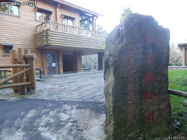 阿里山