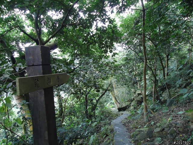 12/11南化烏山步道縱走(紫竹寺--烏山稜線--龍湖寺段)