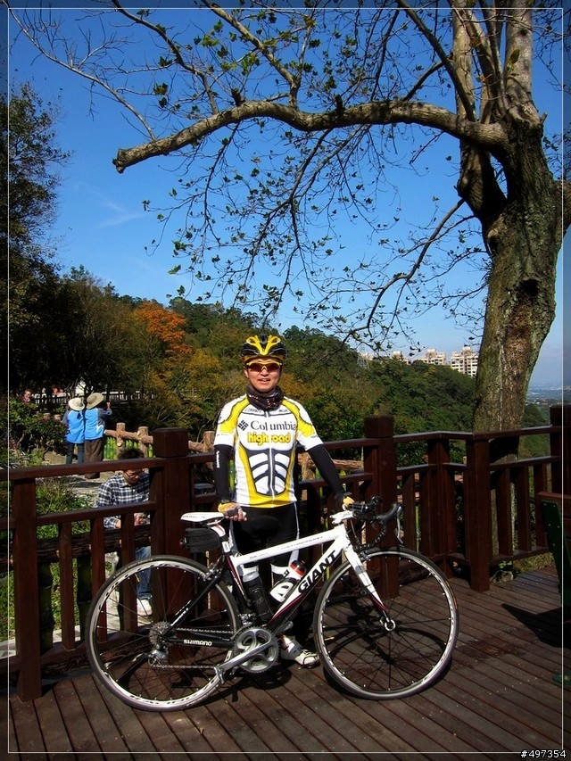 2011年 石門水庫、楓葉、晴