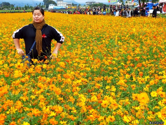 為何一定要踩進花圃中才能拍出好照片?