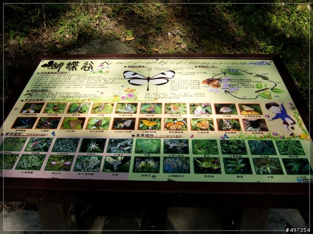 2011年 石門水庫、楓葉、晴