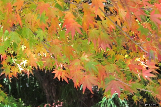 1203單騎雙北福壽山一日遊