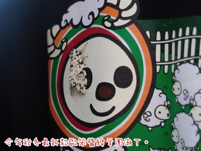 【勁戰騎士俱樂部】久違了,武嶺。