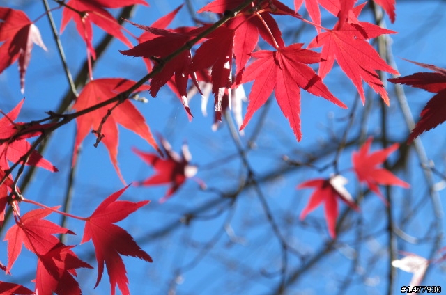 1203單騎雙北福壽山一日遊