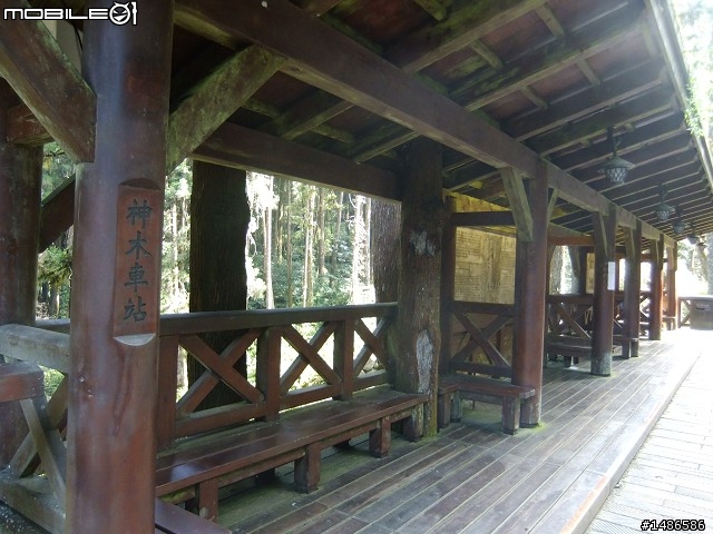 阿里山