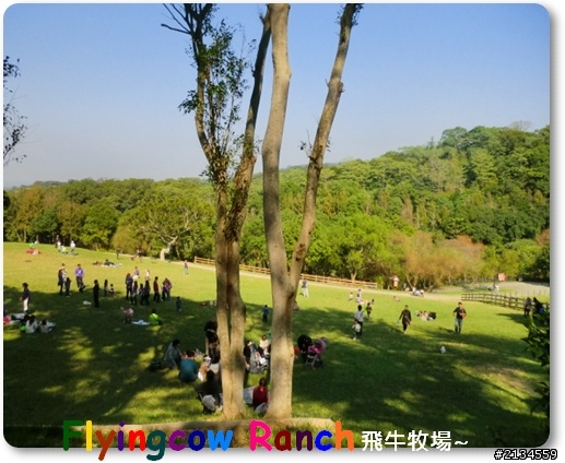 飛牛牧場一日遊(灑花)