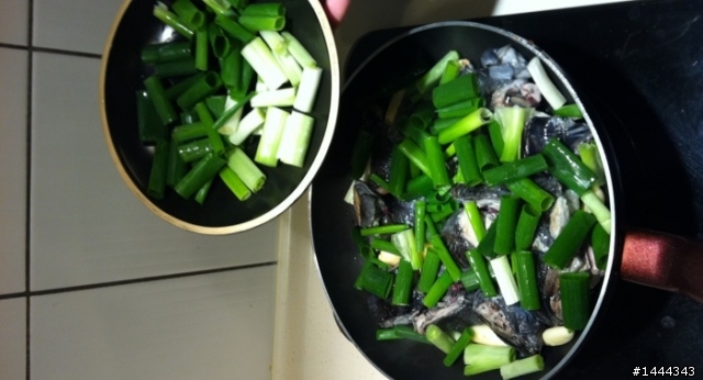 下酒菜之我沒露腿但我有露臉
