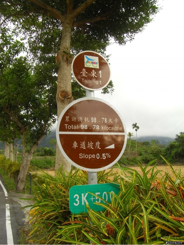 2011豬與猴環島之旅(上)