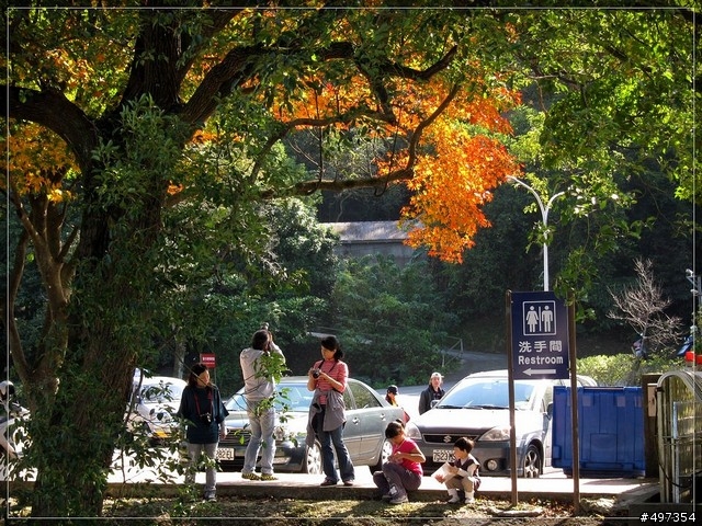 2011年 石門水庫、楓葉、晴
