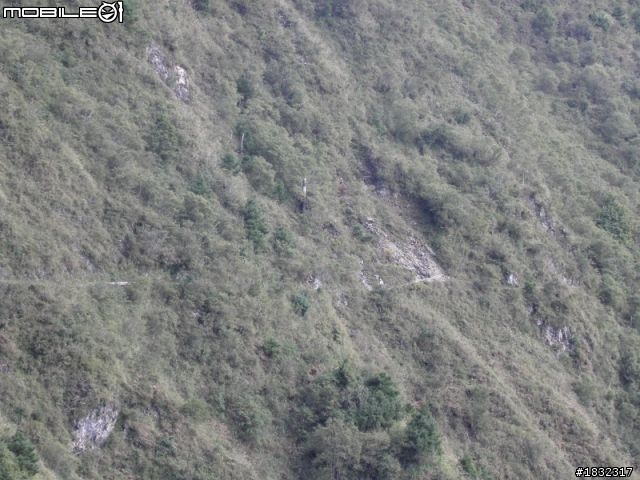 1001101完成玊山攻頂(爬山不是騎單車上去哦!)