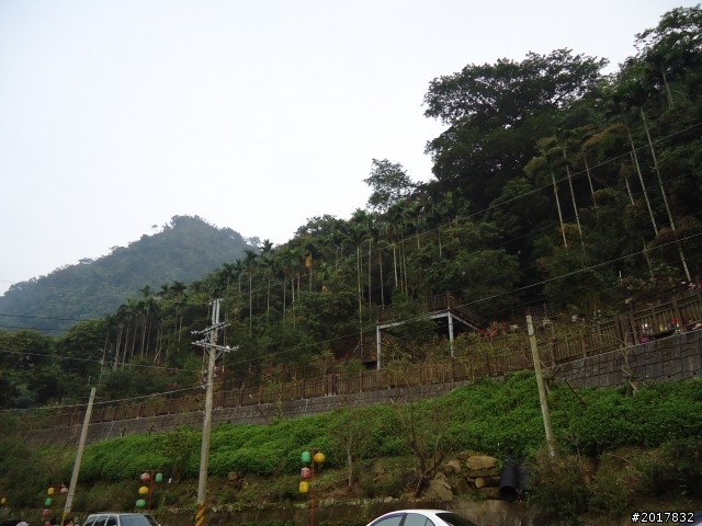 12/11南化烏山步道縱走(紫竹寺--烏山稜線--龍湖寺段)
