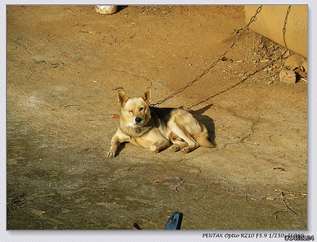 【開箱】Pentax RZ10-高性價比生活小望遠