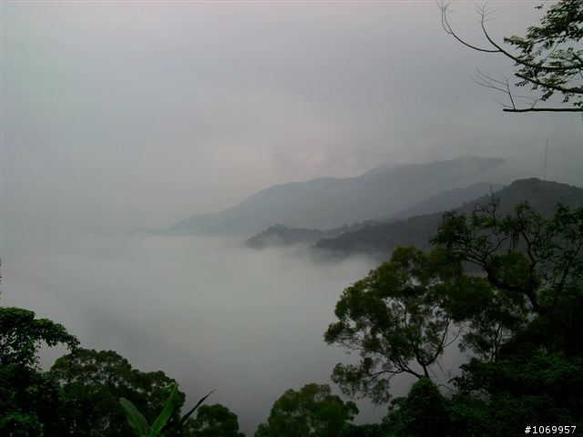 2011雲霧中的泰武單車遊