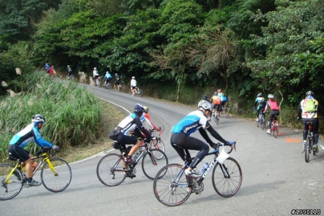 我的2011陽金P字山道初體驗