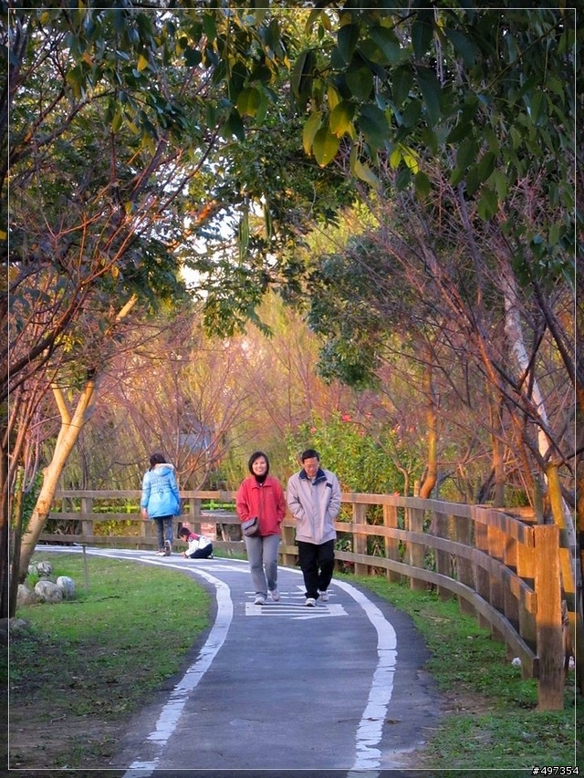 2011年 石門水庫、楓葉、晴