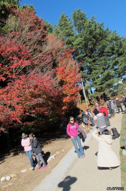 1203單騎雙北福壽山一日遊