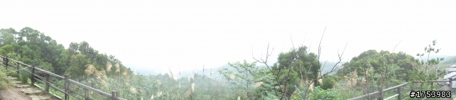 林口霧社街-賽德克巴萊