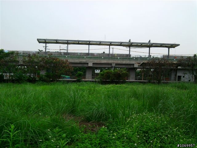 2011雲霧中的泰武單車遊