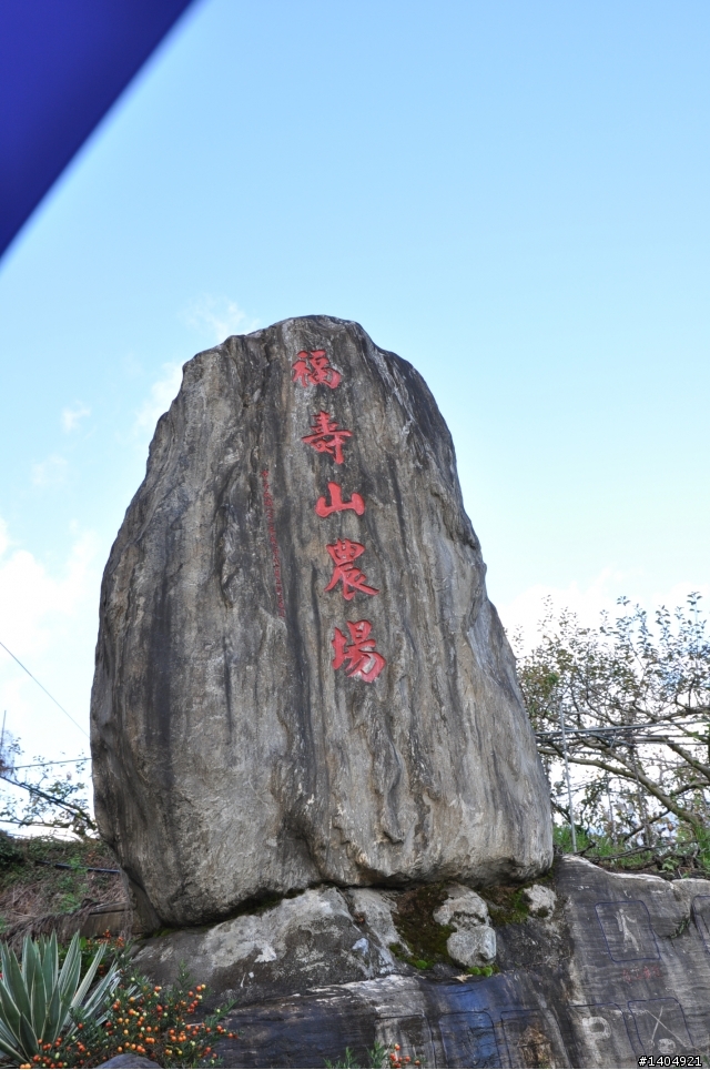 小佛之40小時受凍之~~半島追楓~~(圖多)