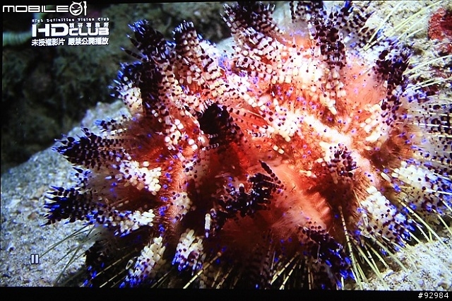 我的第一台投影機 Optoma 3DW1