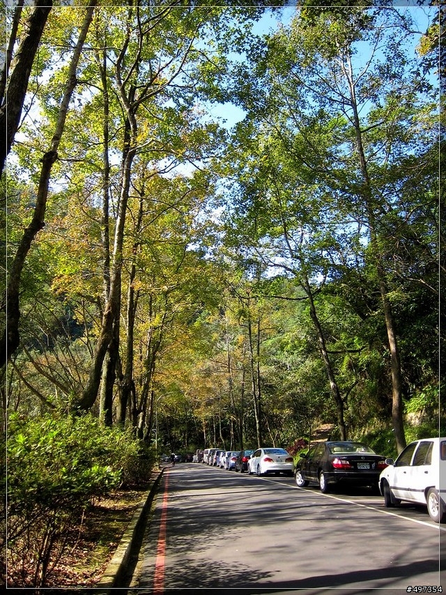 2011年 石門水庫、楓葉、晴