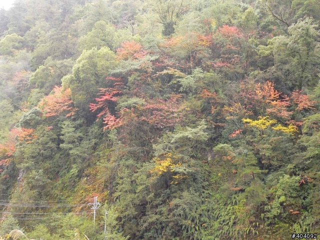 做了,一切就都值得了!! 天氣不好也要去~ 12/12-12/17(福壽山農場-合歡山主峰-奧萬大-阿里山) day2