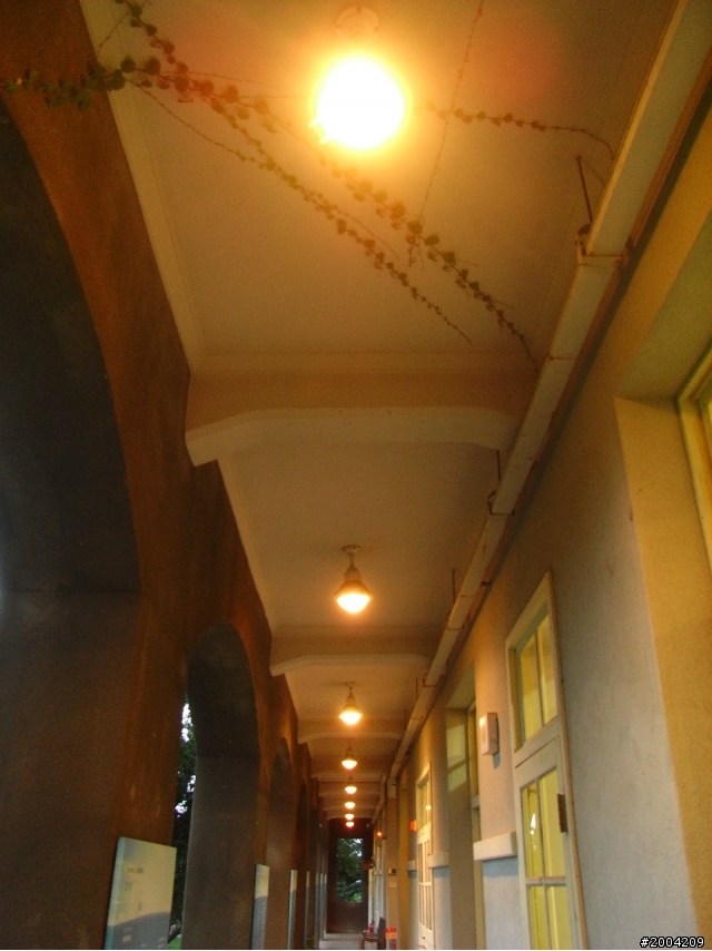 2011豬與猴環島之旅(上)