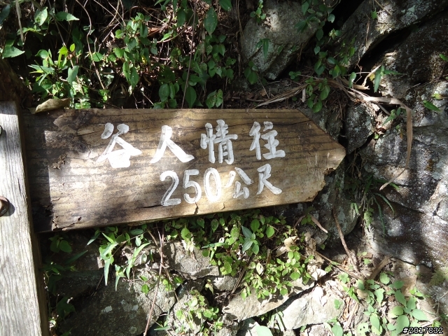 12/19新中橫行(東埔溫泉彩虹瀑布)
