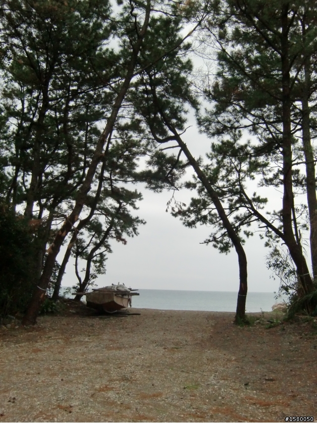 (日本小品)土佐灣放空殘念行 2011/12/01