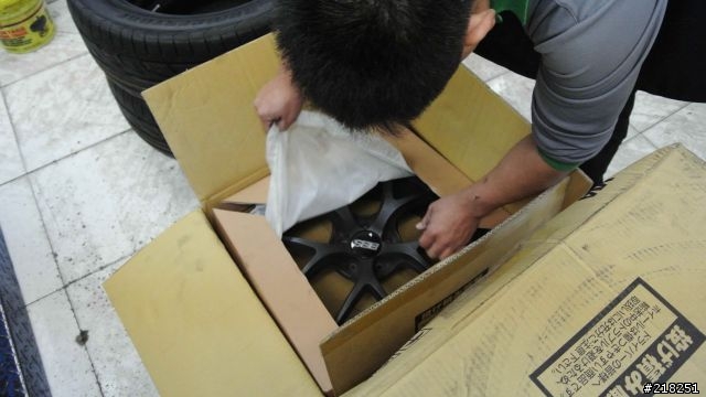 白胖福之我不是黑森林..